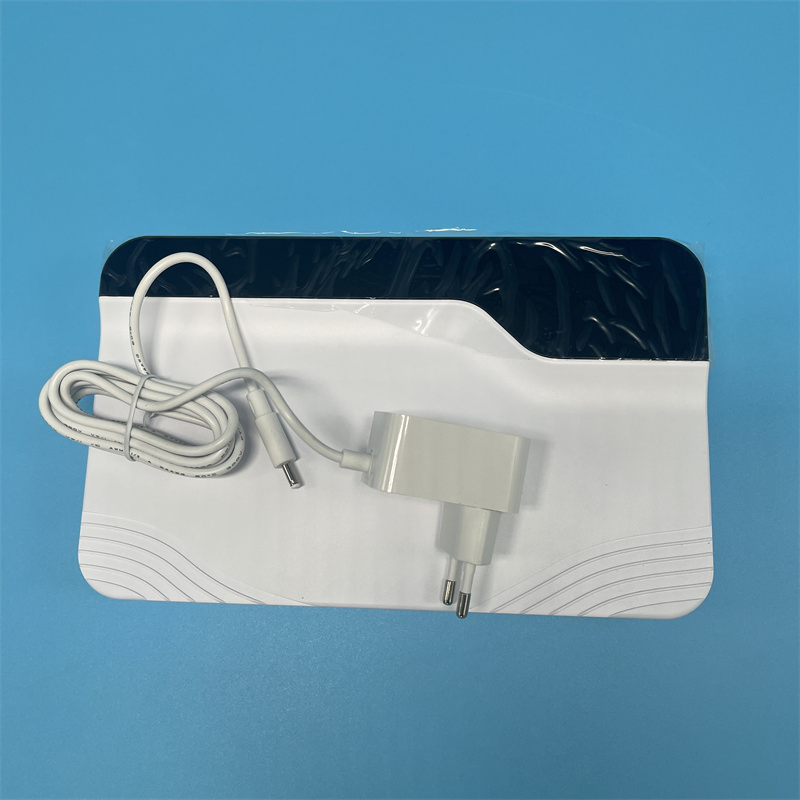 Air Purifier 10 G Household Portable Ozonizer Sterilize 60 G Ozone Generator