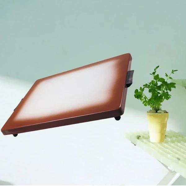 Buffet Warming Tray Food Hot Plate Household Food Tray Warm Hot Plate for Banquet and Kitchen