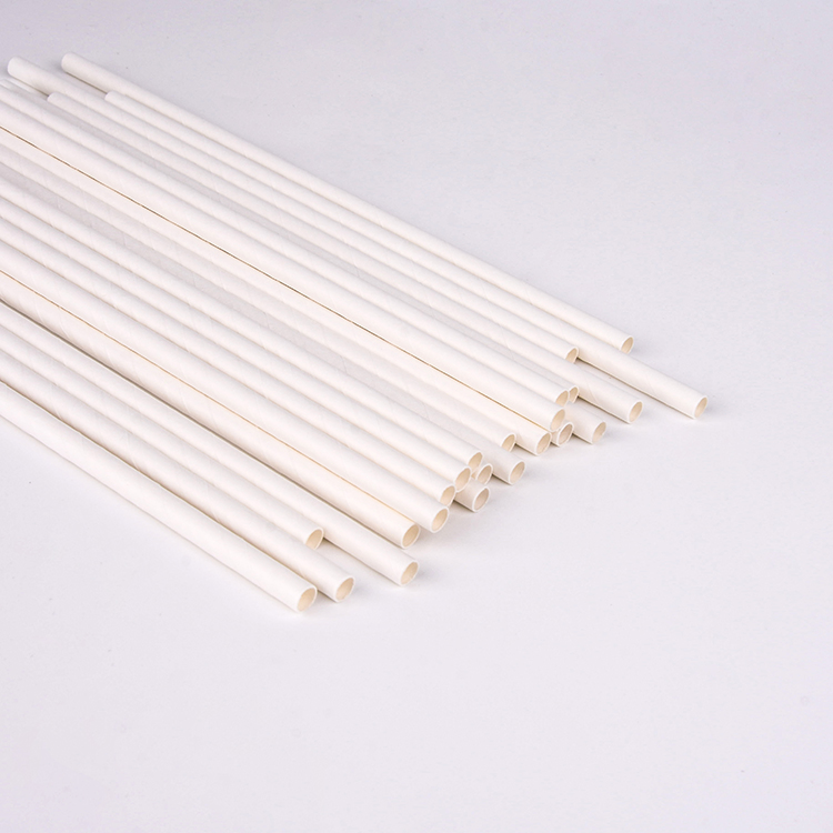 Party Disposable Compostable Paper Straw with Plain White Color