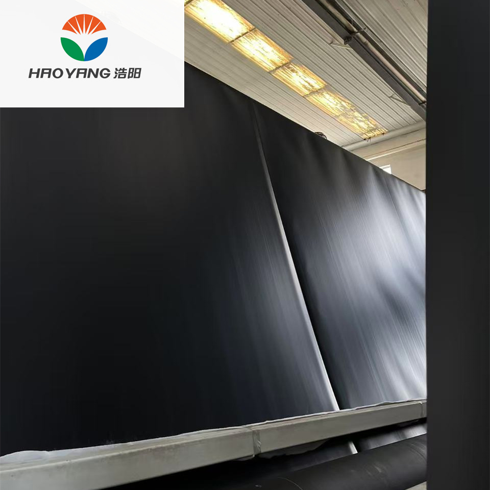 Good Flexibility LDPE Geomembrane Acid-Alkali-Salt Resistant Prevents Groundwater Pollution
