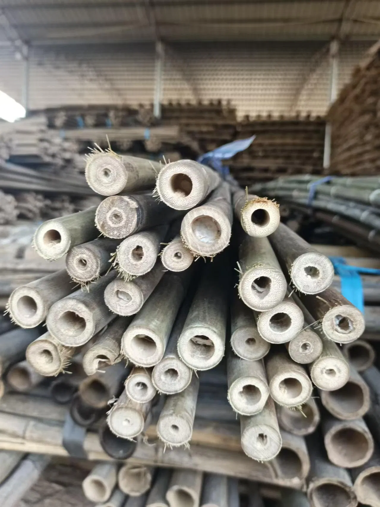 Factory Hot Sale Natural Bamboo Raw Materials Bamboo Pole Stakes for Horticulture Plantation Support
