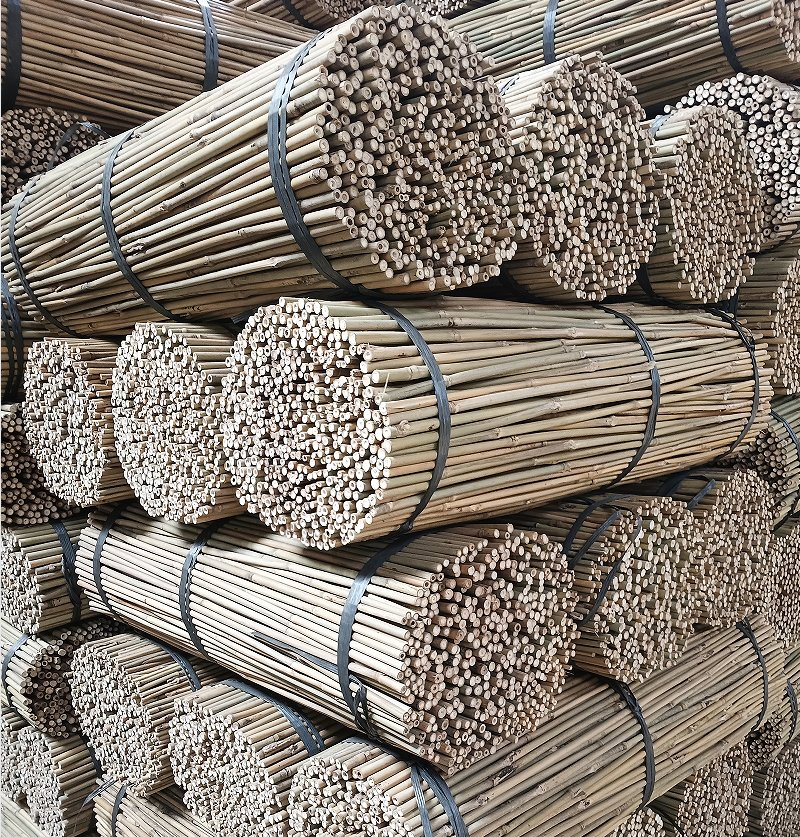 Best Bamboo Pole Supplier for DIY Projects