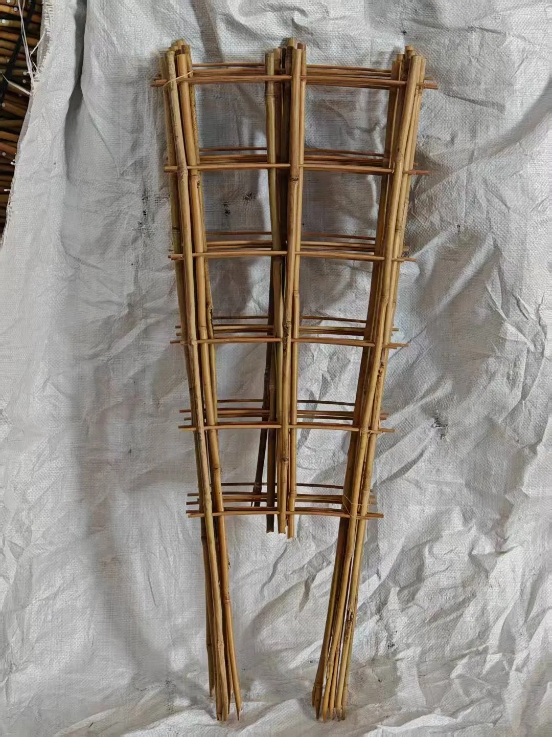 Grow More with Bamboo: Trellises for Healthier, Higher-Yielding Plants