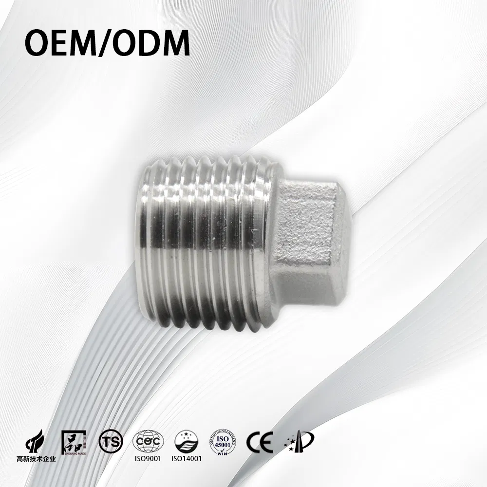 Stainless Steel Industrial Customize OEM NPT BSPT Square End Plug