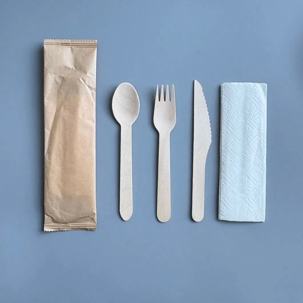 Eco-Friendly 160mm Biodegradable Disposable Birch Spoon Fork Knife with Individual Packaging