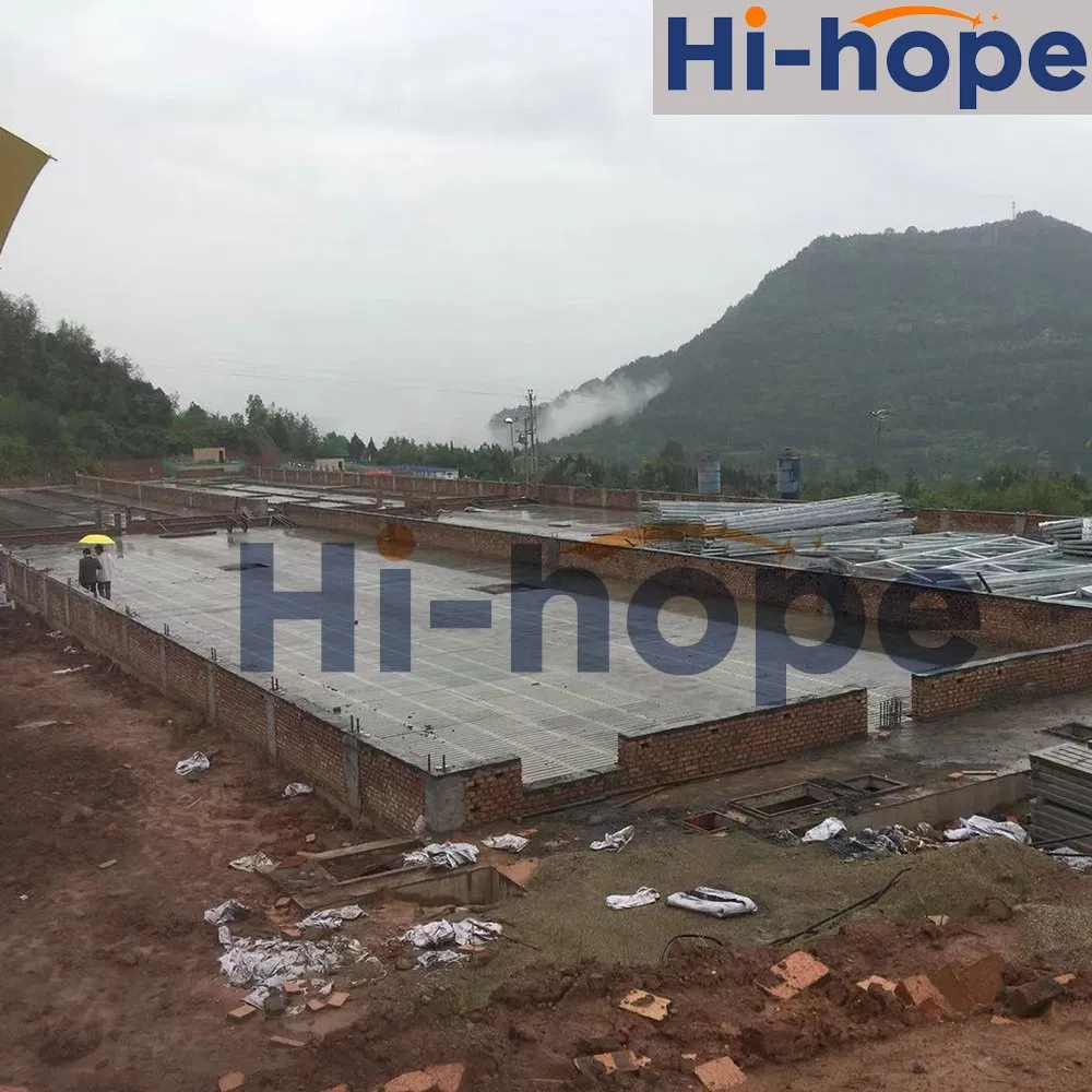 Hot Galvanized Industrial Customized Chicken Farm Steel Structure House with Ventilation Cooling System Design