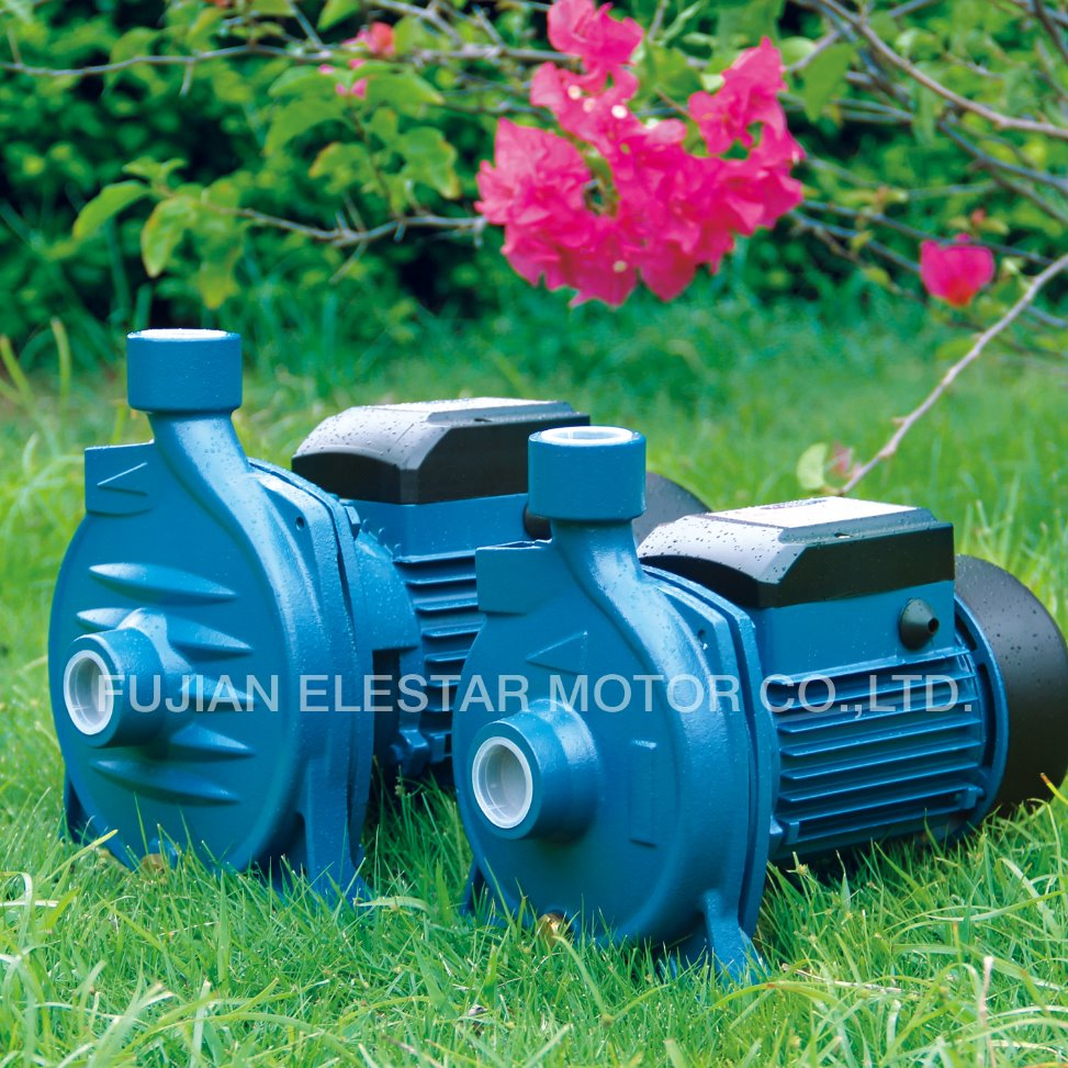 PCM146 0.75HP 220V CE Centrifugal Garden Water Pump-Vacuum-Equipment Electric Motor Pump