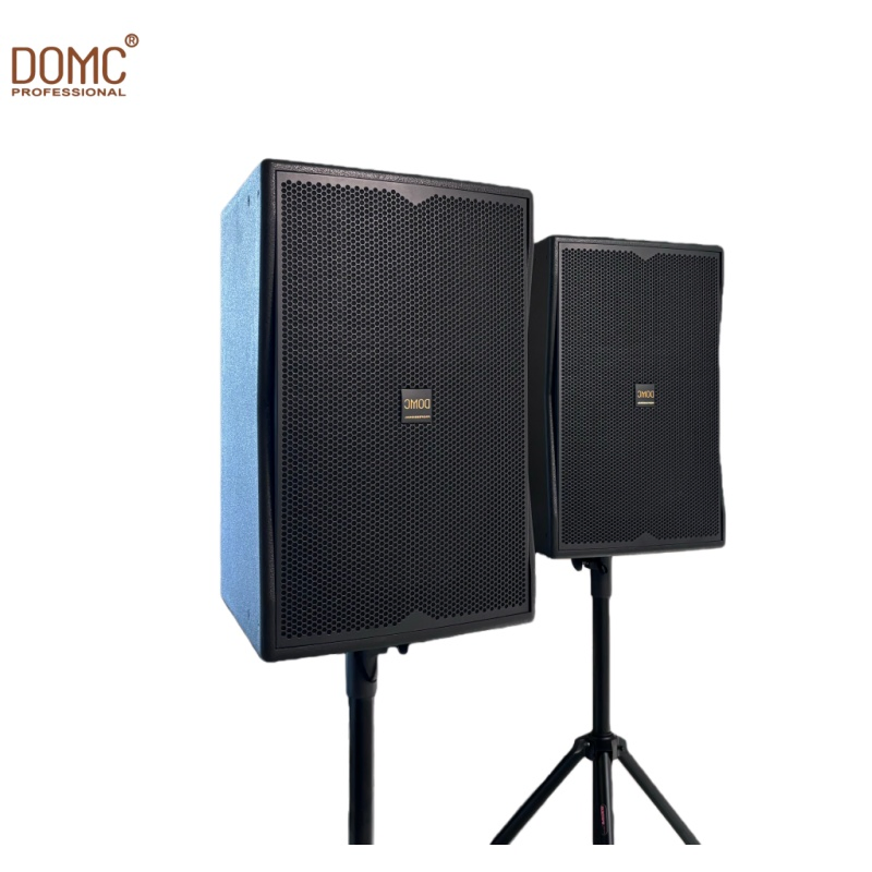 10-Inch Domc K210 Speaker with Exceptional Sound Clarity
