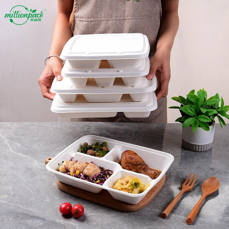 Biodegradable Sectioned Tray for Delivery Food with Reinforced Edges