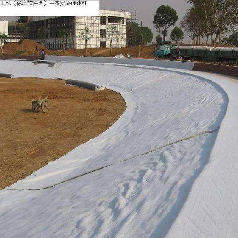 Waterproofing Bentonite Mat Geosynthetic Clay Liner Gcl for Ponds, Landfill