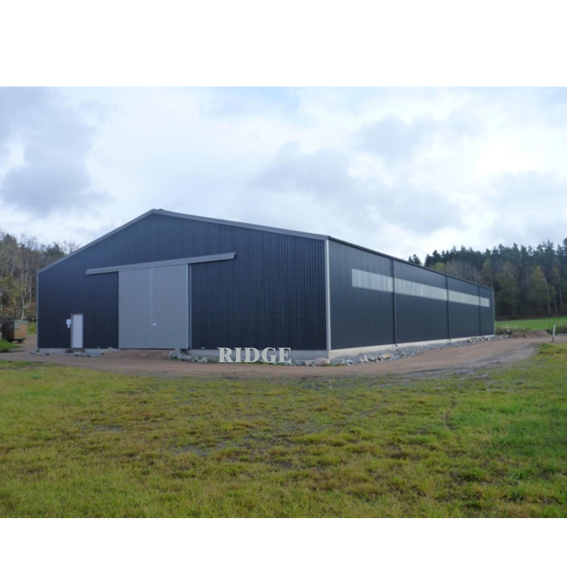 Prefab Steel Structure Workshop for Sale Building Prefabricated Warehouse Canopy