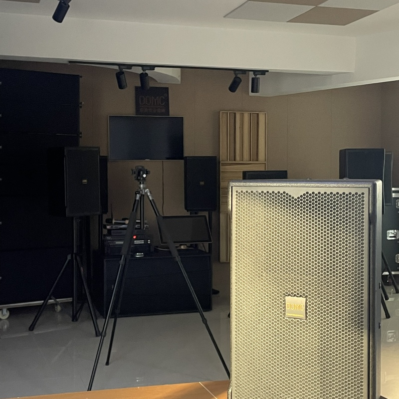 10-Inch Domc K210 Speaker, 300W AES, 50Hz-20kHz Frequency Range