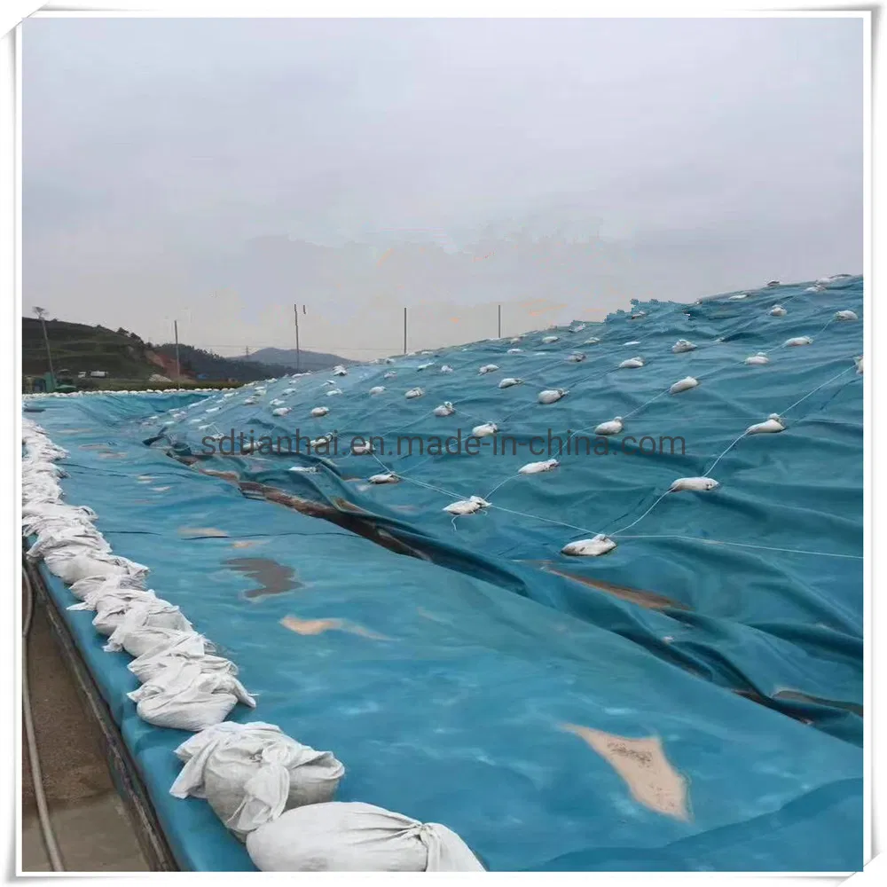HDPE Smooth 0.75mm Liner for Lake/Fish Farm Pond Liner HDPE Sheet