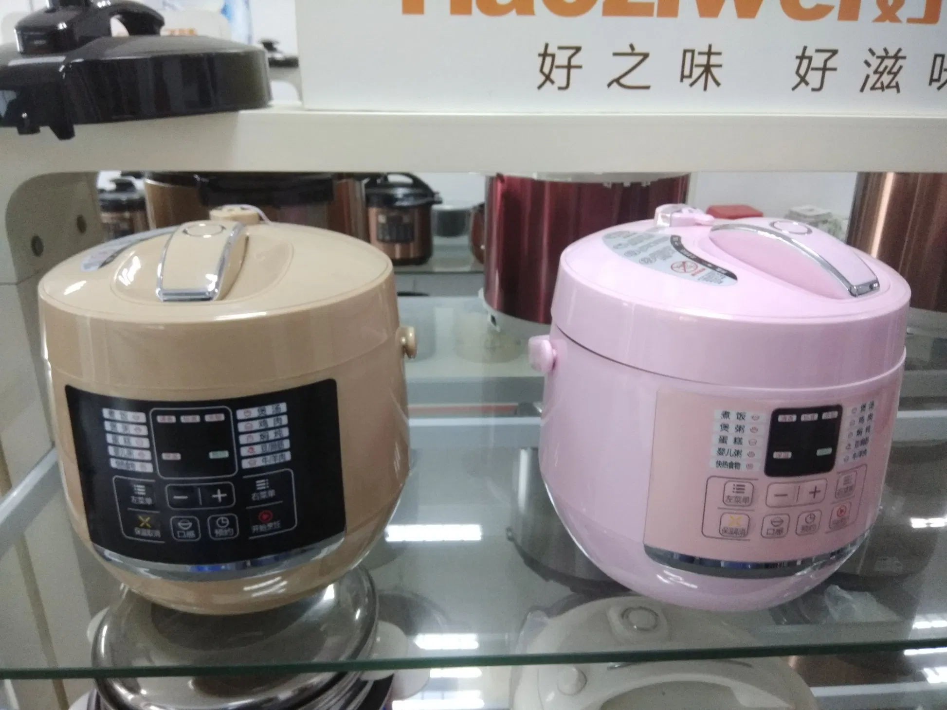 3L Small Size Plastic Housing Electric Pressure Cooker with Handles and Maifanshi Pot
