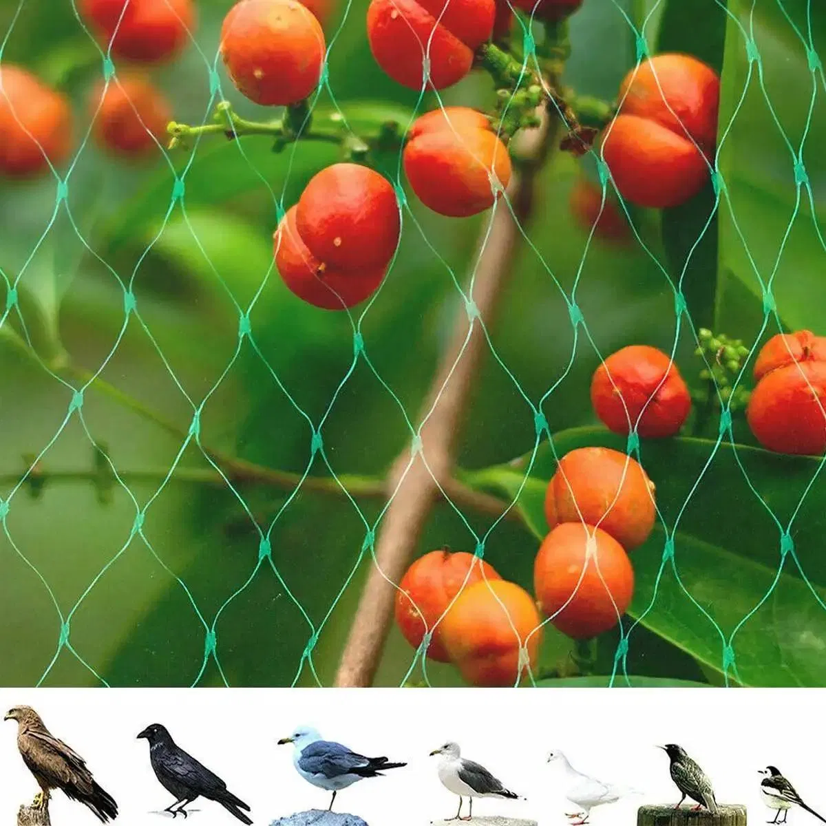 Durable HDPE Bird Protection Net – 15X15mm Diamond Mesh 30-90GSM