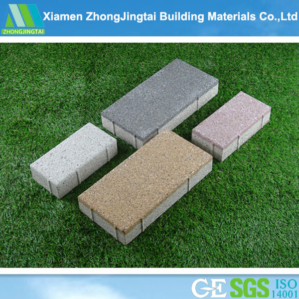 Blind Flooring Paving Stones for Walkway Paver