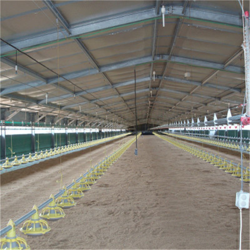 Easy Assemble Light Poultry House Steel Structure with Good Quality