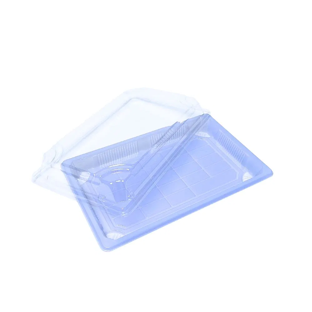 14 Oz Disposable Plastic Food Packaging Sakura Style to Go Sushi Box