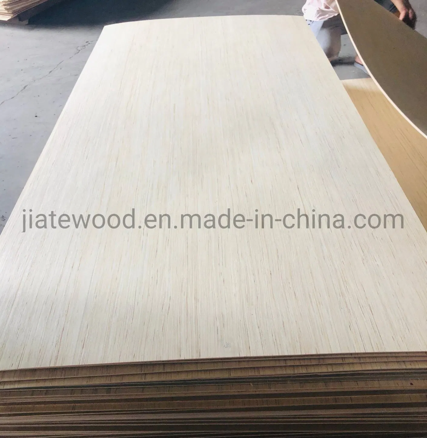 EV Poplar Plywood in Size 1220X2440 mm