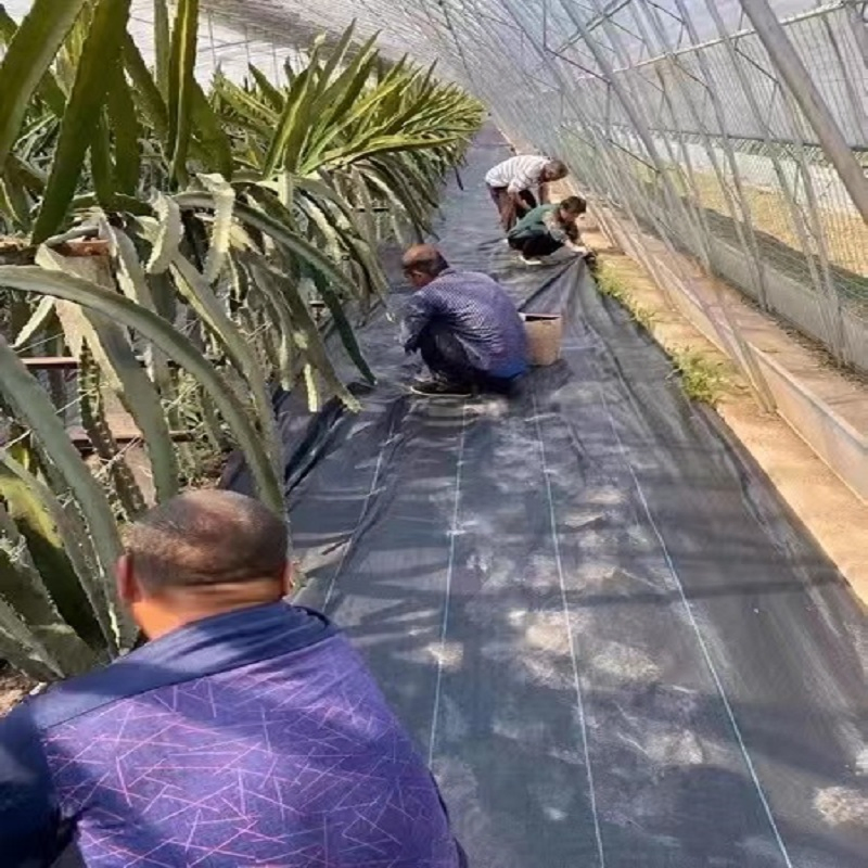 Customized Size Non Woven Agricultural Landscape Grass Proof Geotextile