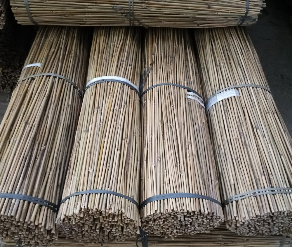 One of The Best Bamboo Poles in The World