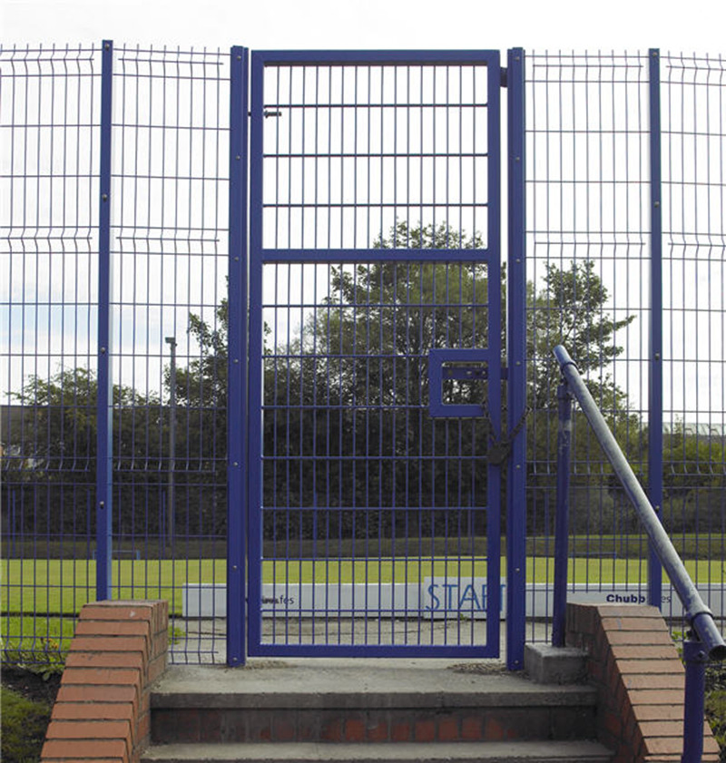 Color Powder Coating Galvanized Iron 868 / 656 Double Wire Fence Panel/Corrosion Resistant Garden Fence/2D Twin Bar Wire Welded Mesh Panel/Double Wire Fence