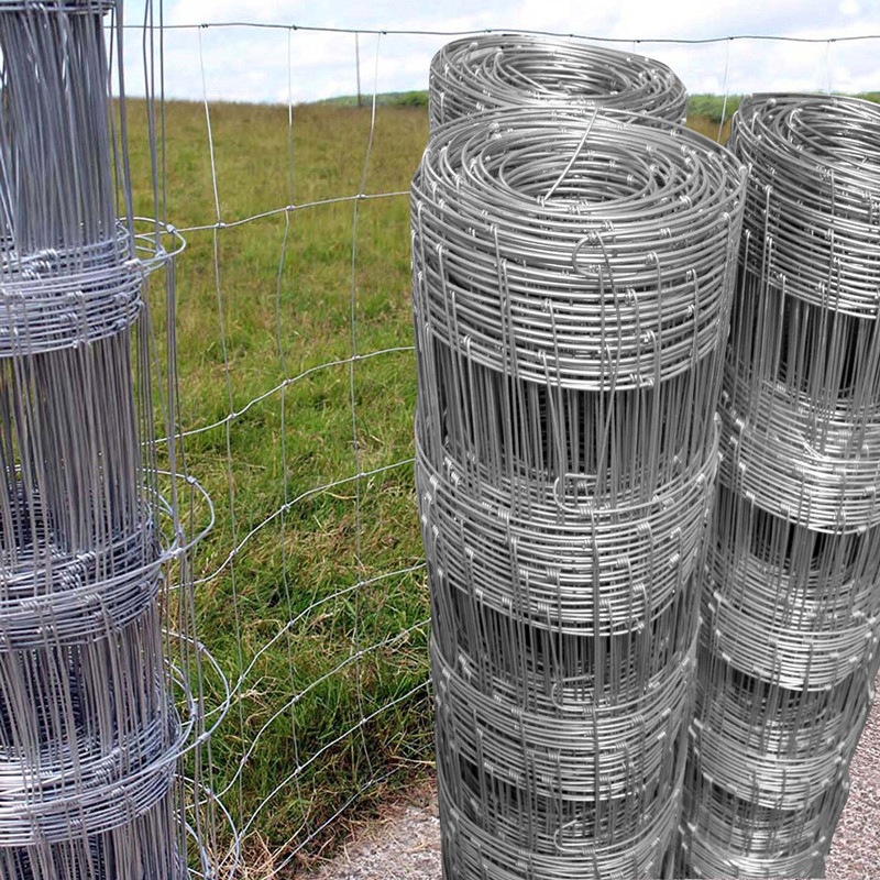 Hot Dipped Galvanized Metal Wire Mesh Livestock Fence