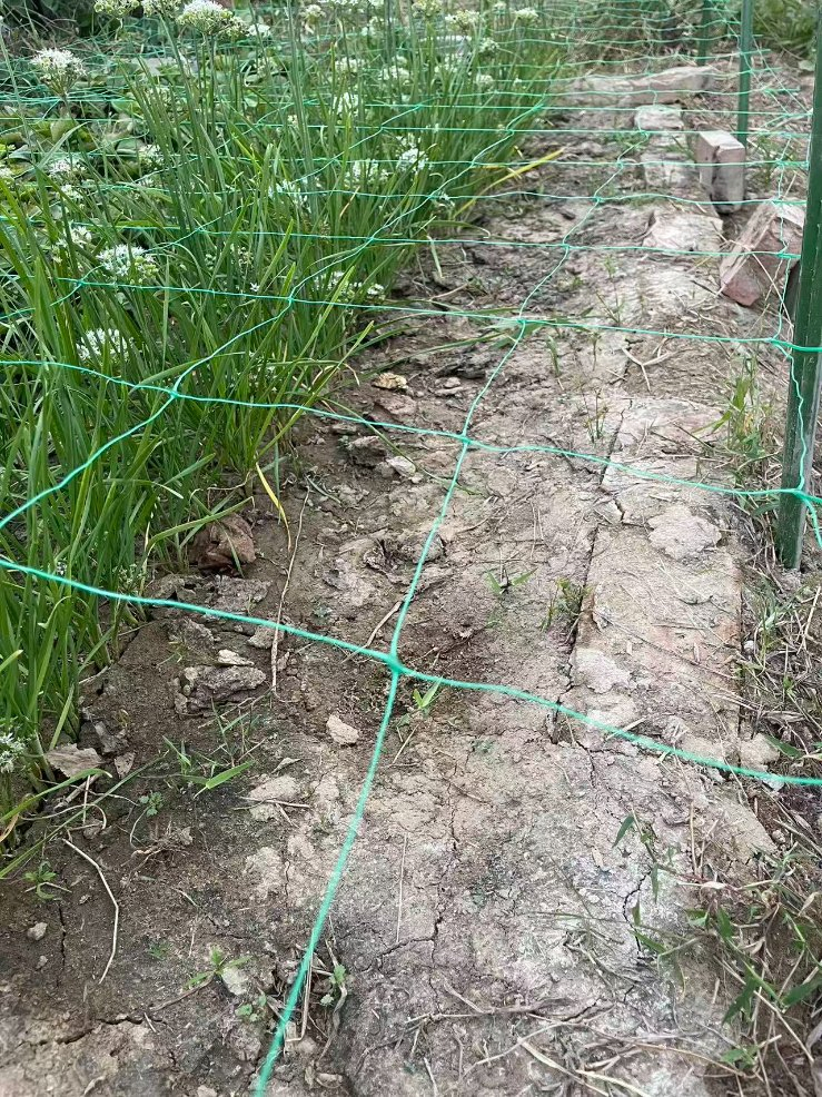 Plastic Safety Obstacle Net for Anti Drone Purpose