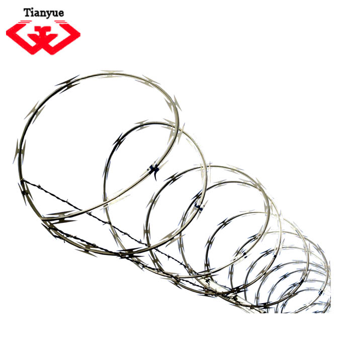 Super Quality Cbt65/Bto18/Bto12 Electro Galvanized Razor Wire (TYB-0052)