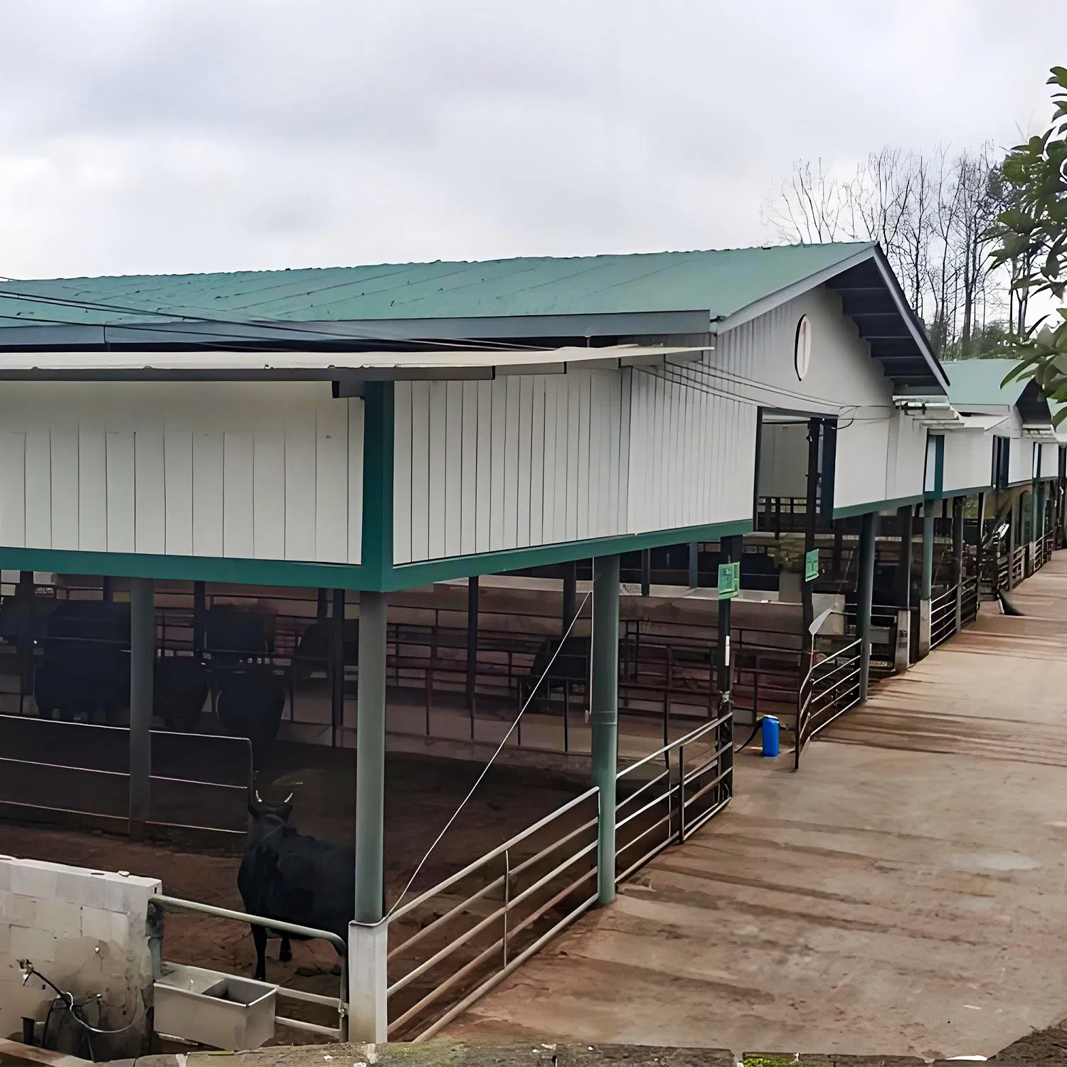 Customized Prefabricated Steel Shed Is Well Ventilated and Adaptable to Various Climates