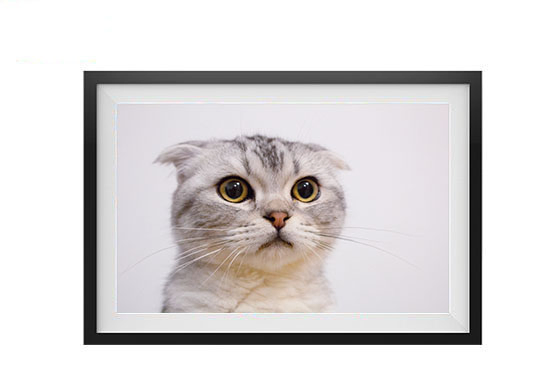 15.6 Inch LCD Cloud Frameo Digital Photo Frame