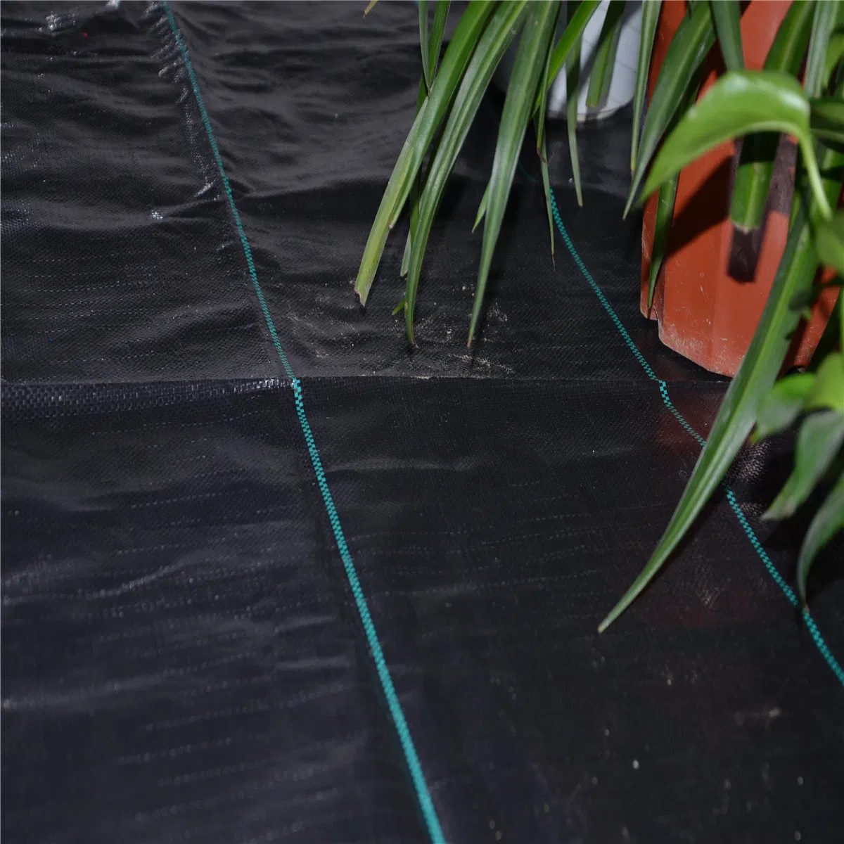 Factory Direct Ground Cover Fabric Supplier