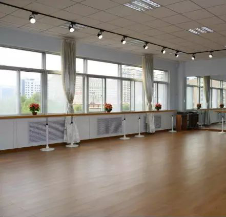 Custom Sized Dance Studio Safety Decorative Mirror