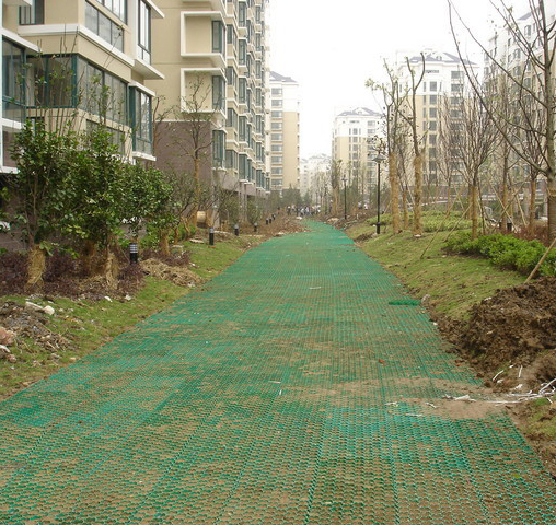 Grass Protection Grid Driveway Grid Factory Price China