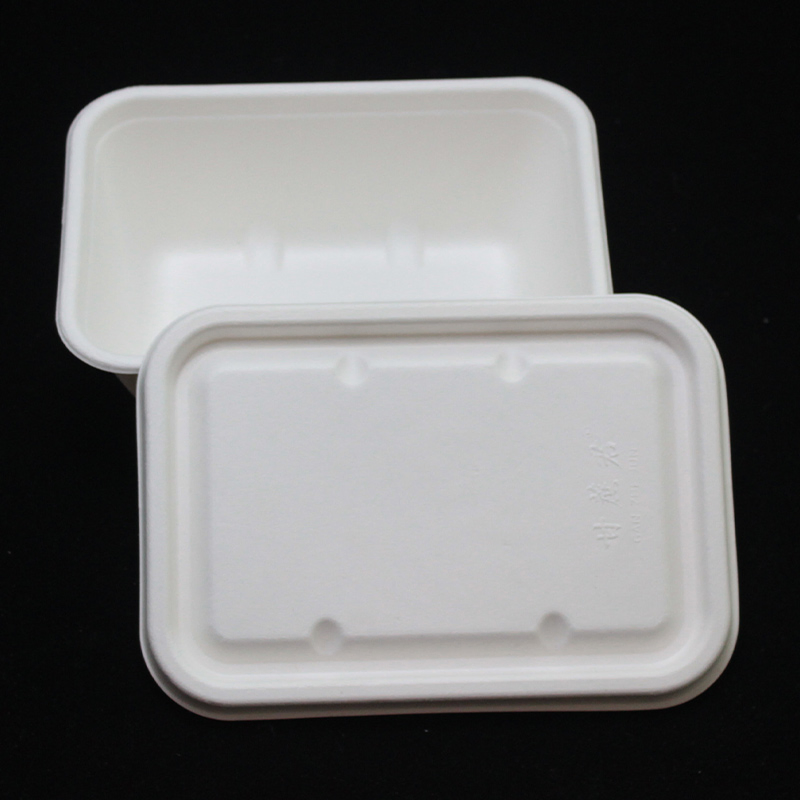 Wholesale Biodegradable Lunch Box Paper Takeaway Food Disposable Paper Lunch Boxlunch Box