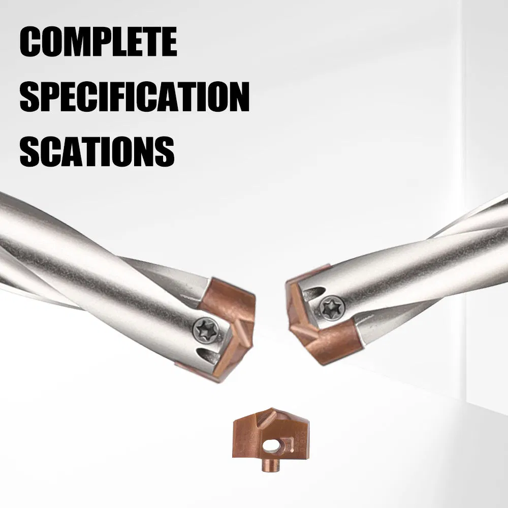 Carbide Insert Spade Drill with Internal Coolant Hole Deep Hole Drilling Tool