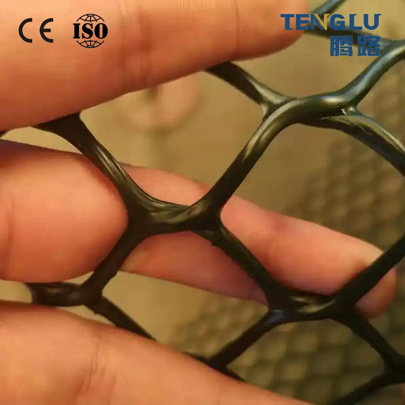 CE Certified Modern Industrial Design Composite Geonet HDPE Plastic for Railway Drainage Earthwork & Garden Applications