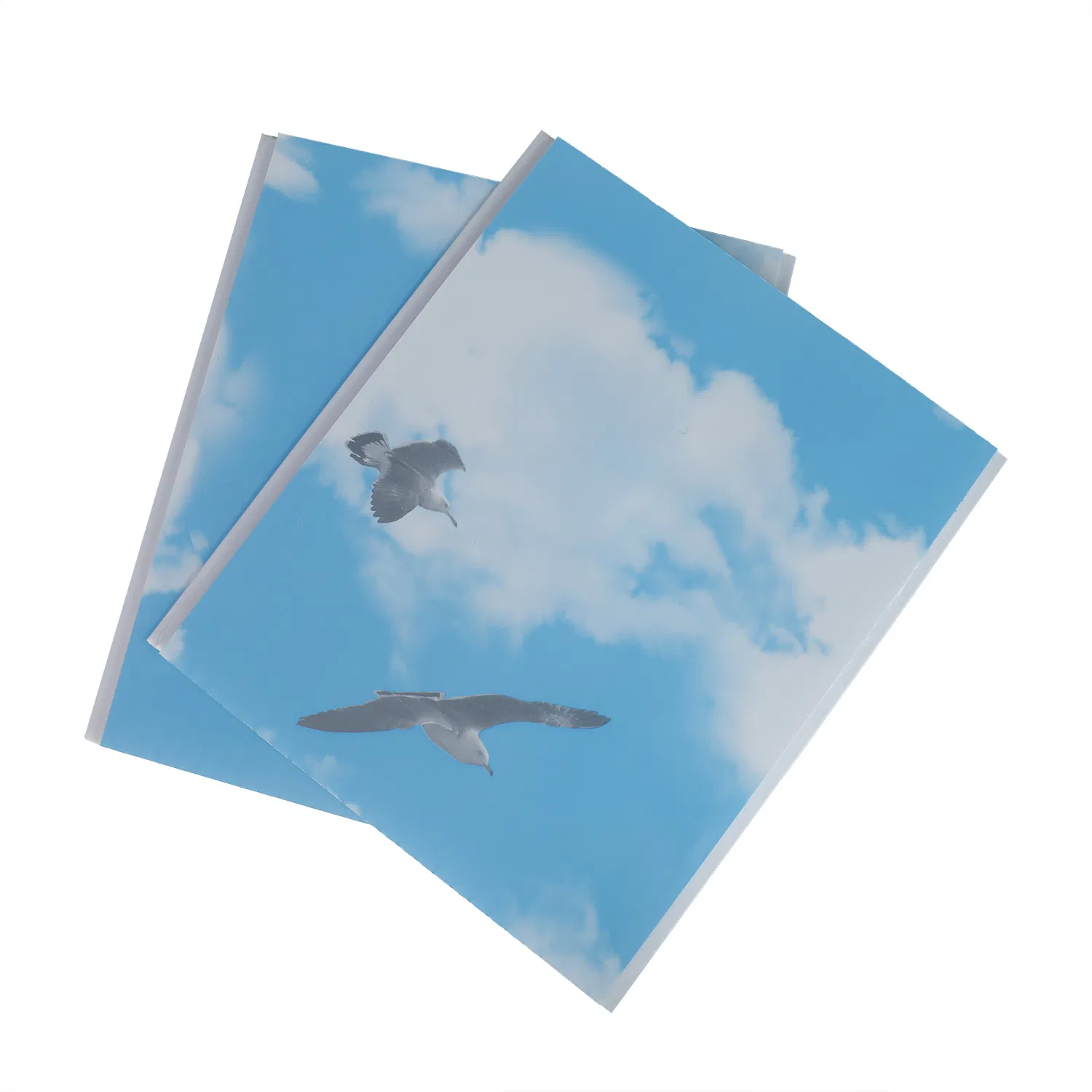 2024 Hot Sale PVC Panel Waterproof PVC Ceiling