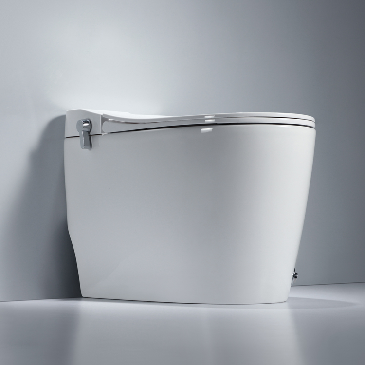 Foot Kick Flushing Ceramic Sanitary Composting One Piece Toilet