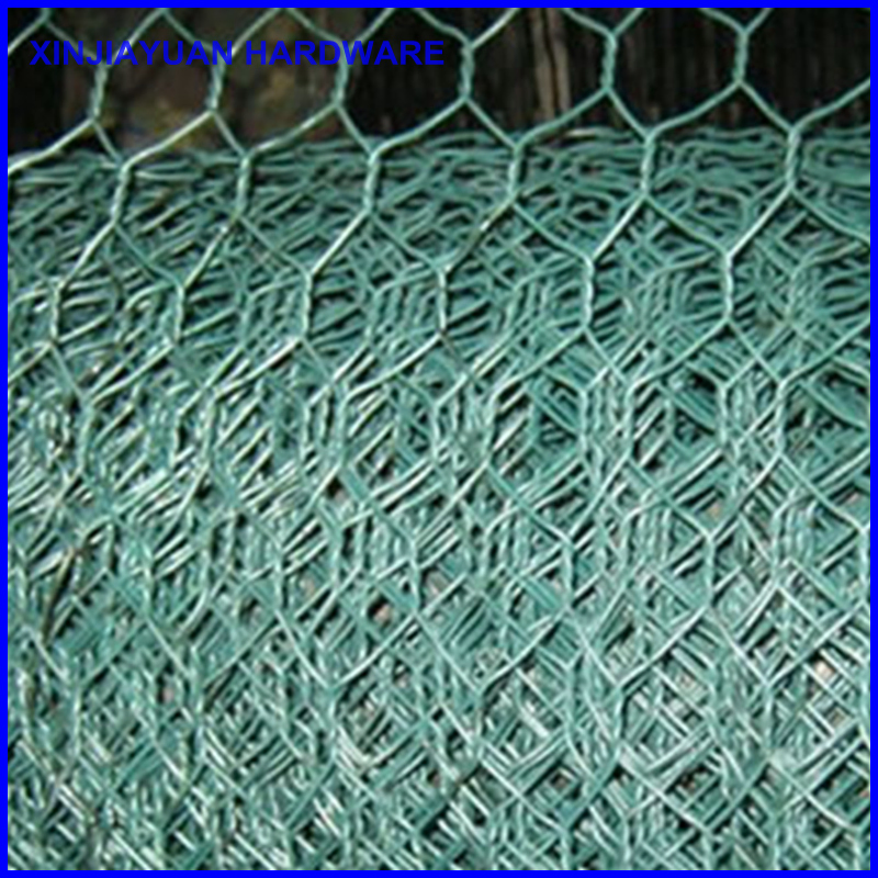 Galvanized Hexagonal Wire Mesh/Chicken Wire Netting