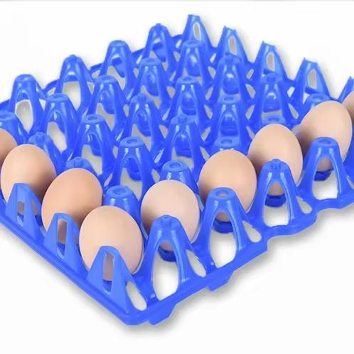 HDPE Plastic Egg Holder 30PCS Pack Durable Plastic Packaging