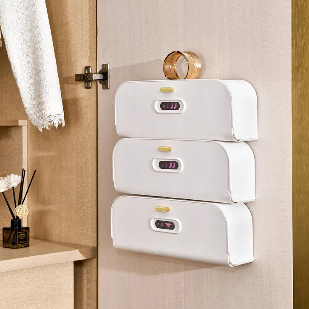 Wall Mounted Sock Underwear Organizer Wardrobe Sorting Storage Box Mi26810