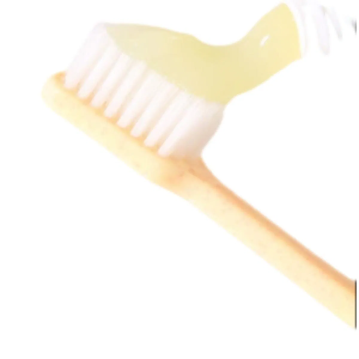 New Pregnant Women Folic Acid Adult Cleaning Toothpaste