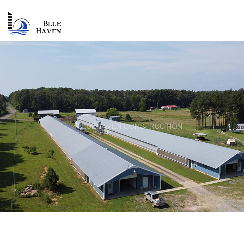 Low Cost Steel Frame Poultry Farm Design for Chicken / Duck House