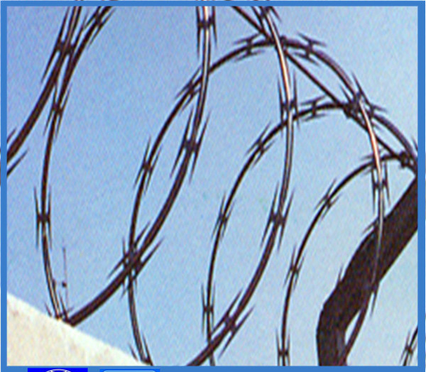 Concertina Razor Barbed Tape Wire (CBT-65)