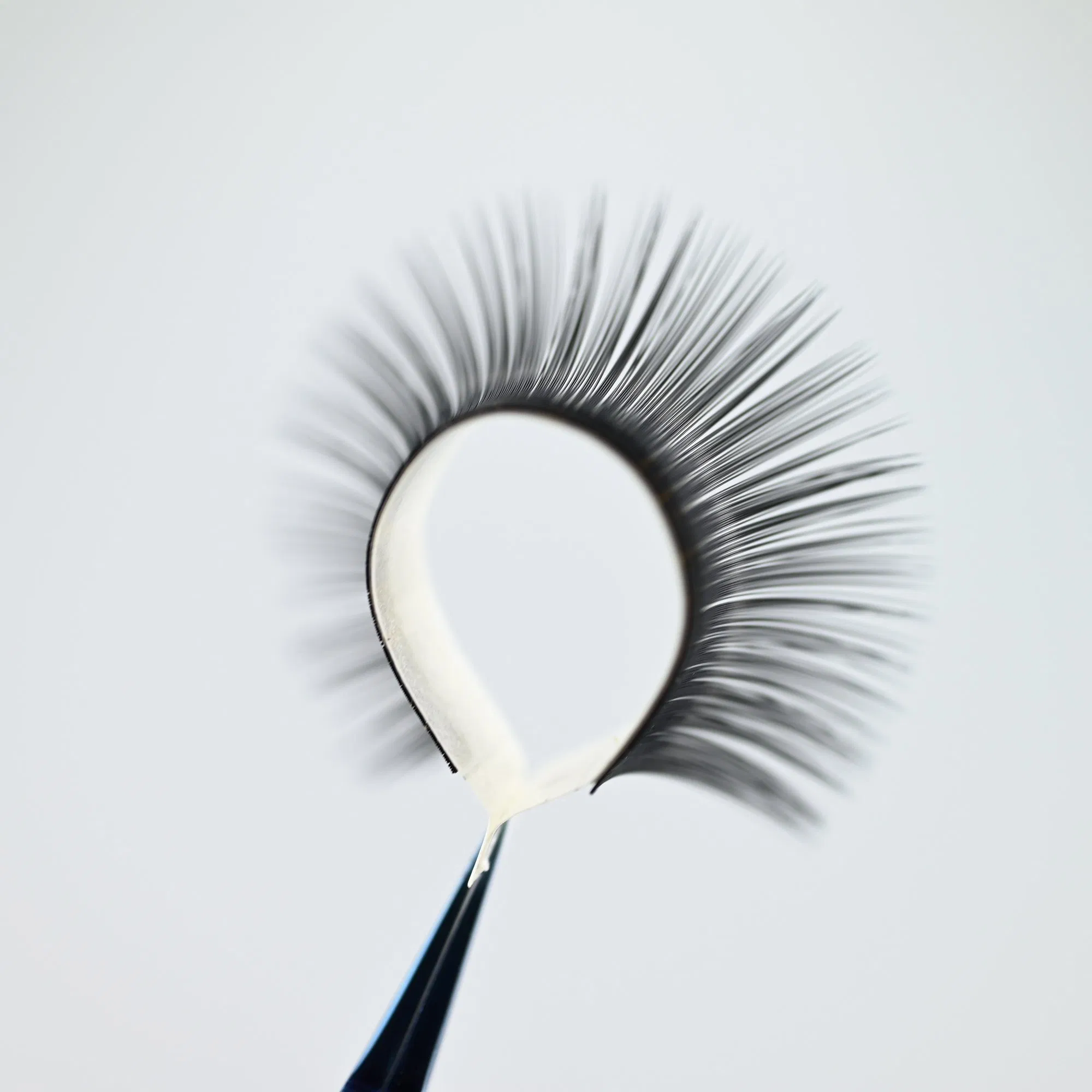 Mt Lashes Supplier Customized Bulk C D J Curls Fluffy Wispy Classic Eyelash Extension