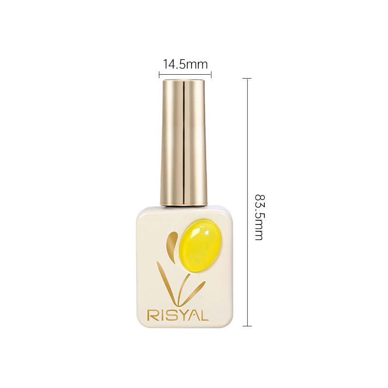 Luxury Complete Gel Polish Kit 12 Premium Colors Polish with Diamond Shine Top Coat and Nail Care Set