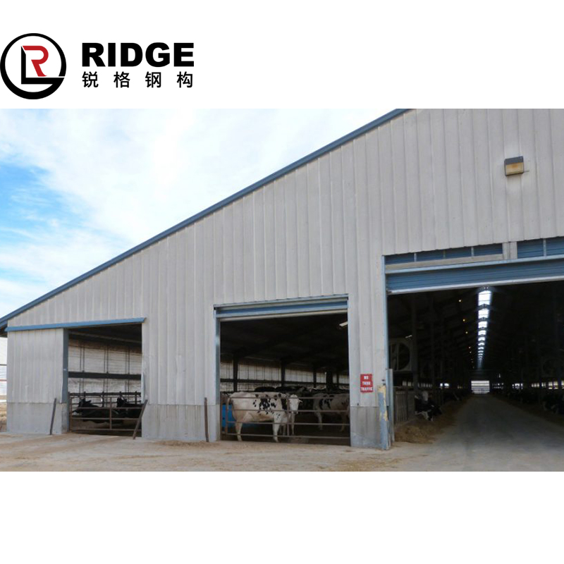 Customized Shed Wide Span Roof Industrial Steel Structure Building with Design