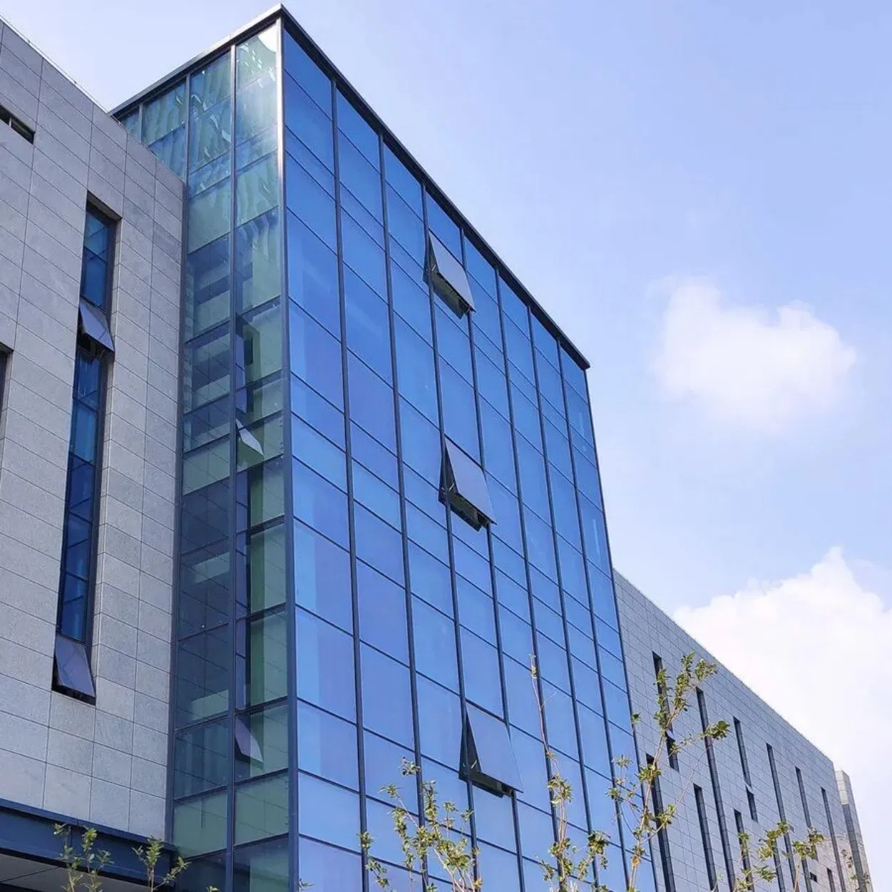 Durable Stylish Stable Outstanding Wind Resistance Aluminum Metal Glass Curtain Wall