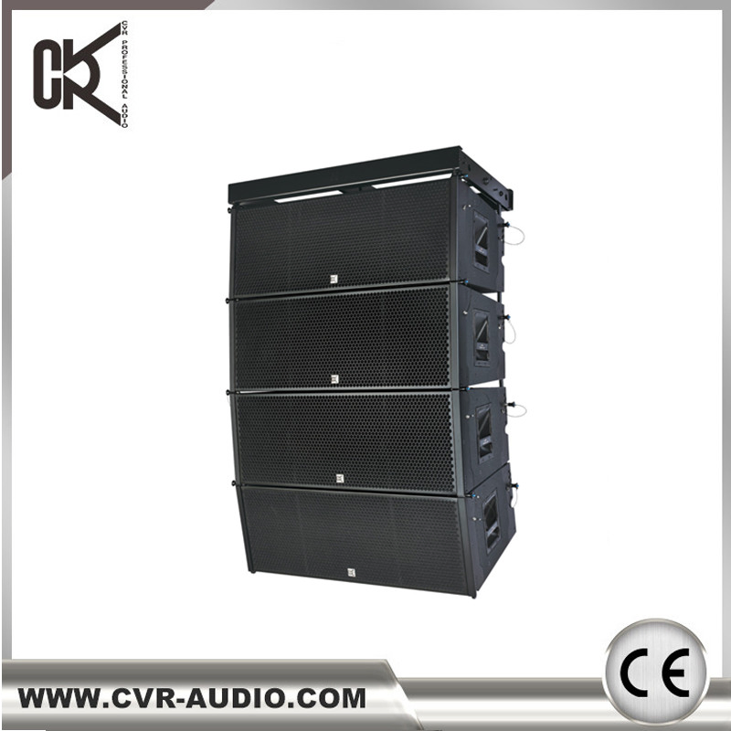 Dual 12 Inch Professional Neodymium Line Array